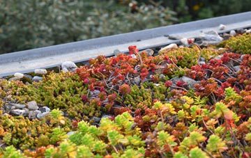 the cost of Jeaniefield green roof installation